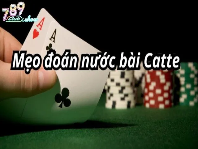 Catte 789club